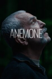 Anemone